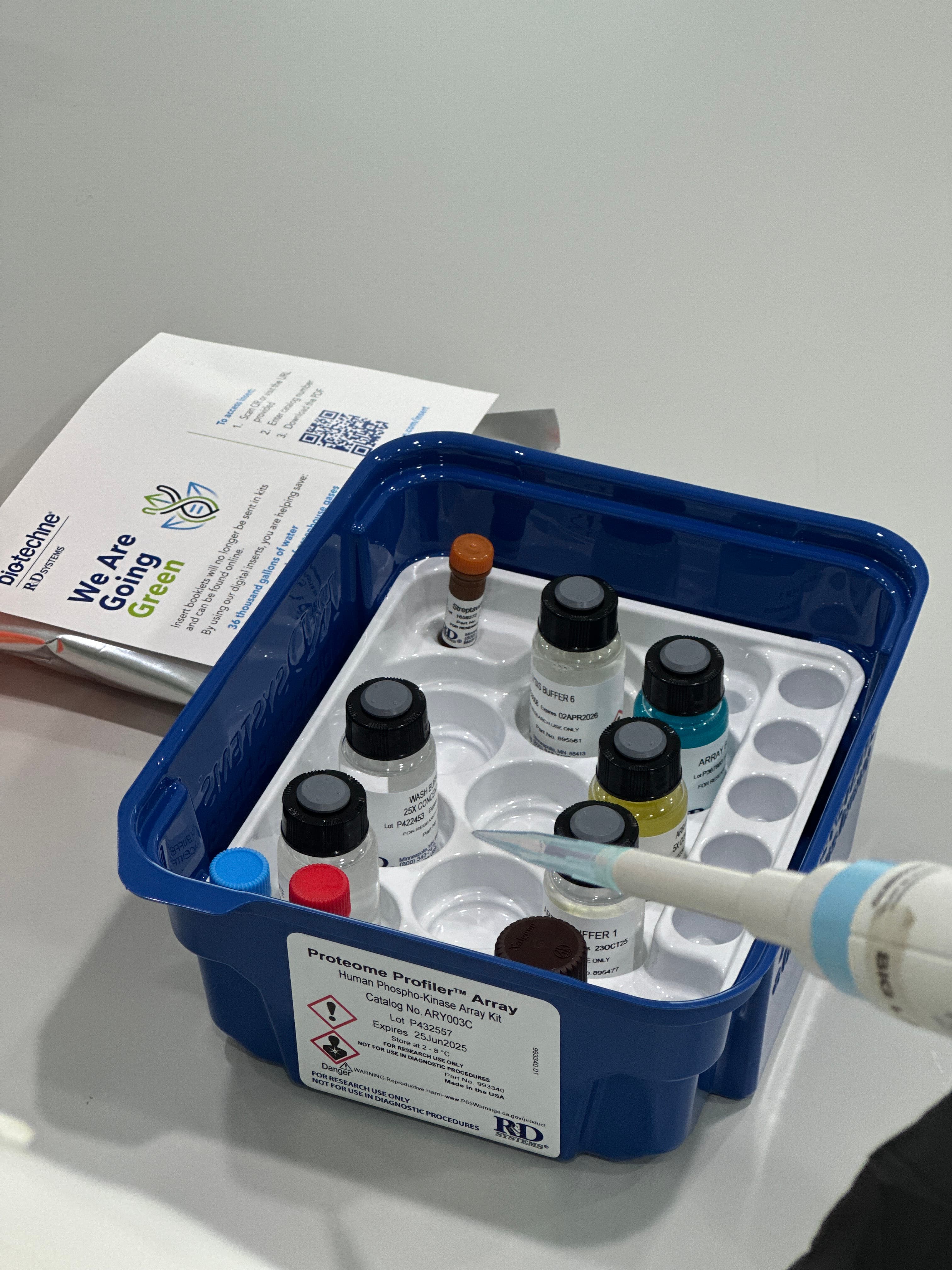Proteome Profiler